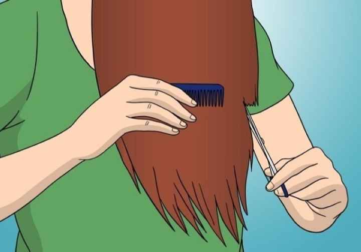 Как правильно подстричь волосы. Пошаговая инструкция дома